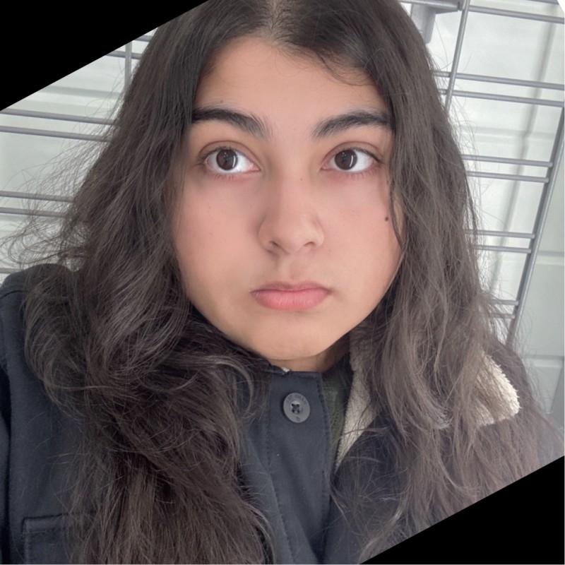 Fanizza Tahir